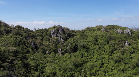 From a rock grew a park: How Masungi became the benchmark for conservation areas