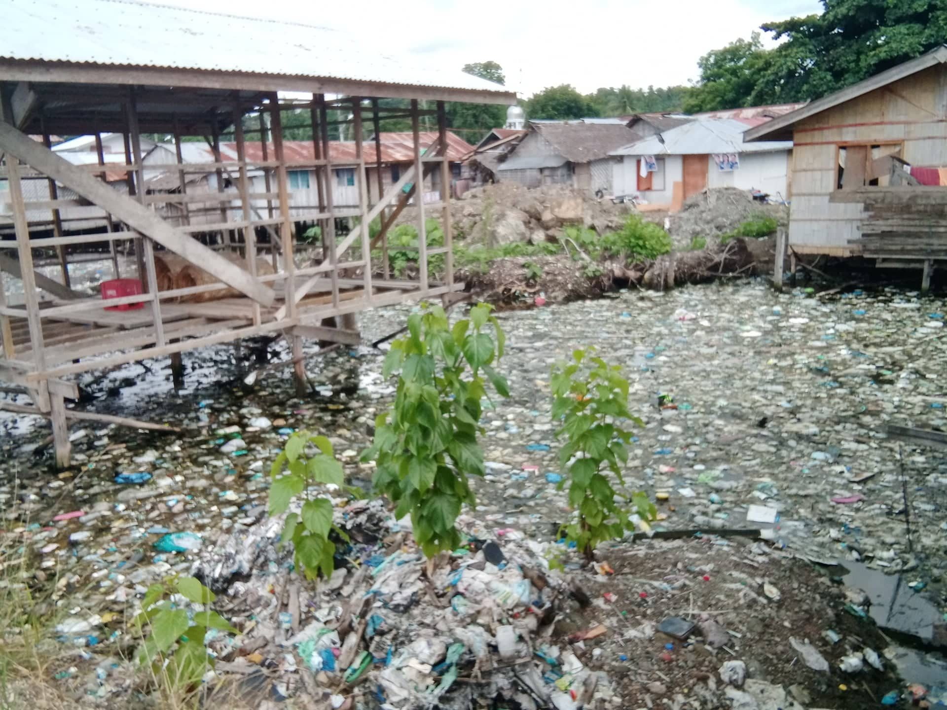 Mati officials slam contamination report but stop short of denying Pujada Bay pollution
