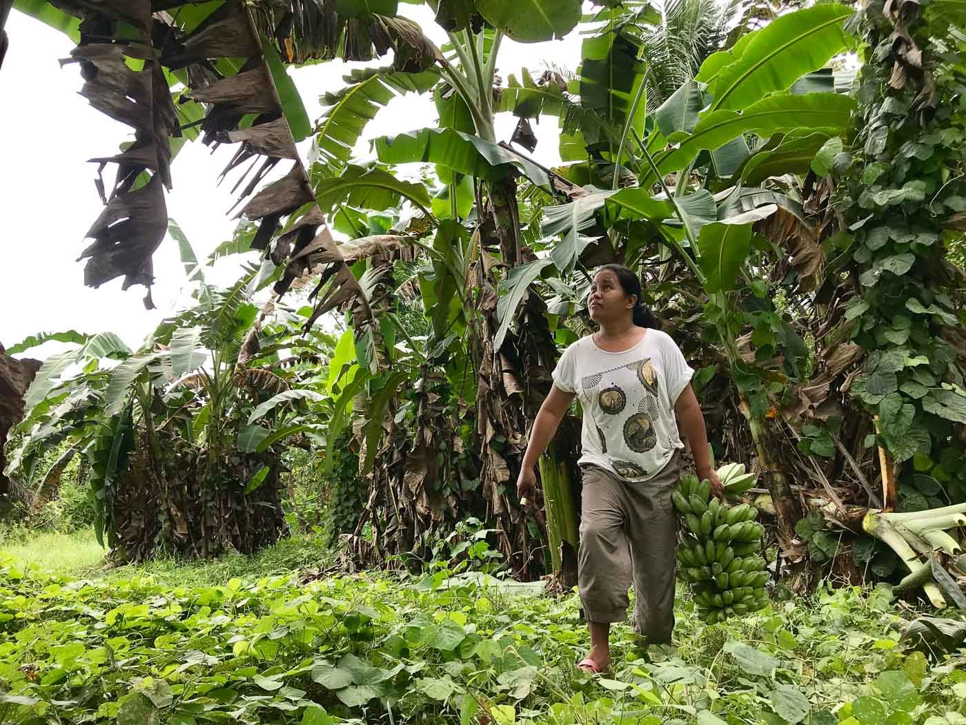 Climate change makes banana, seaweed farming hard for women in Palawan