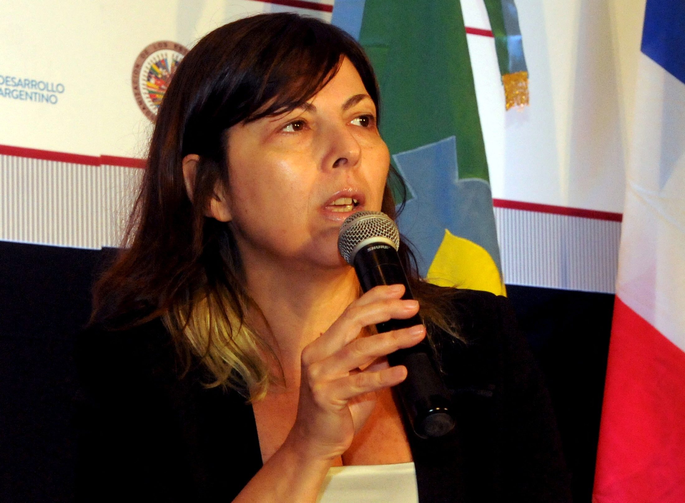 Silvina Batakis: Unorthodox economist in the hot seat in Argentina