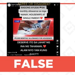 FALSE: Solo parents, mothers, housewives to be given P10,000 monthly allowance