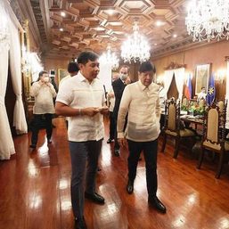 Marcos’ private sector advisory group not portent of favoritism, crony capitalism – adviser