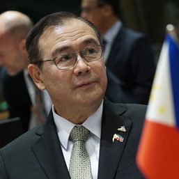 Locsin defends move to monitor foreign funding for NGOs