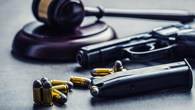 House panel OKs bill seeking to extend validity of firearm licenses