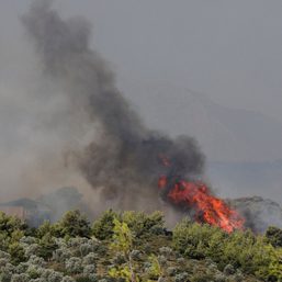 Wildfire rages near Athens as hundreds evacuated