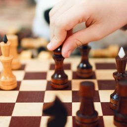 Redor leads Philippine PWD team in Online Chess Olympiad opener