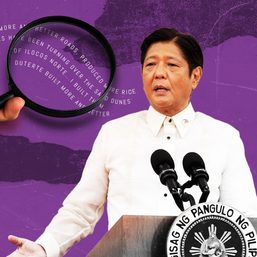 Is Marcos case bound for another electoral protest? Or a quo warranto petition?