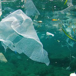 [OPINION] The urgent need for a national single-use plastic ban