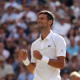 US ban fuels Djokovic’s Wimbledon motivation