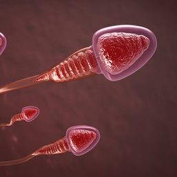 Male infertility is more common than you think – here are 5 ways to protect your sperm