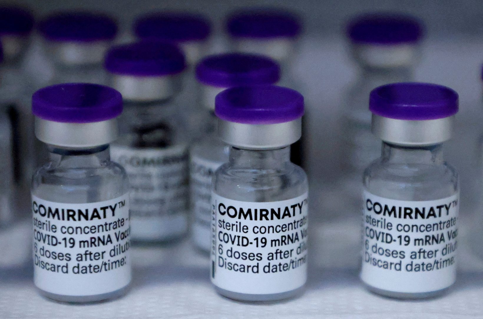 If you’re high risk, do not wait for updated COVID-19 vaccines, experts say