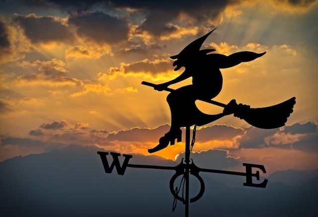 This Halloween, witches are casting spells to defeat Trump and #WitchTheVote in the US election