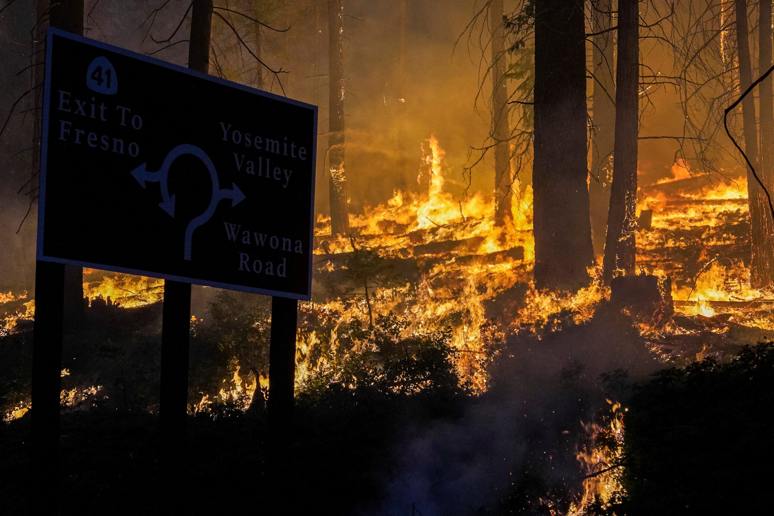 Wildfires are destroying California’s forest carbon credit reserves – study
