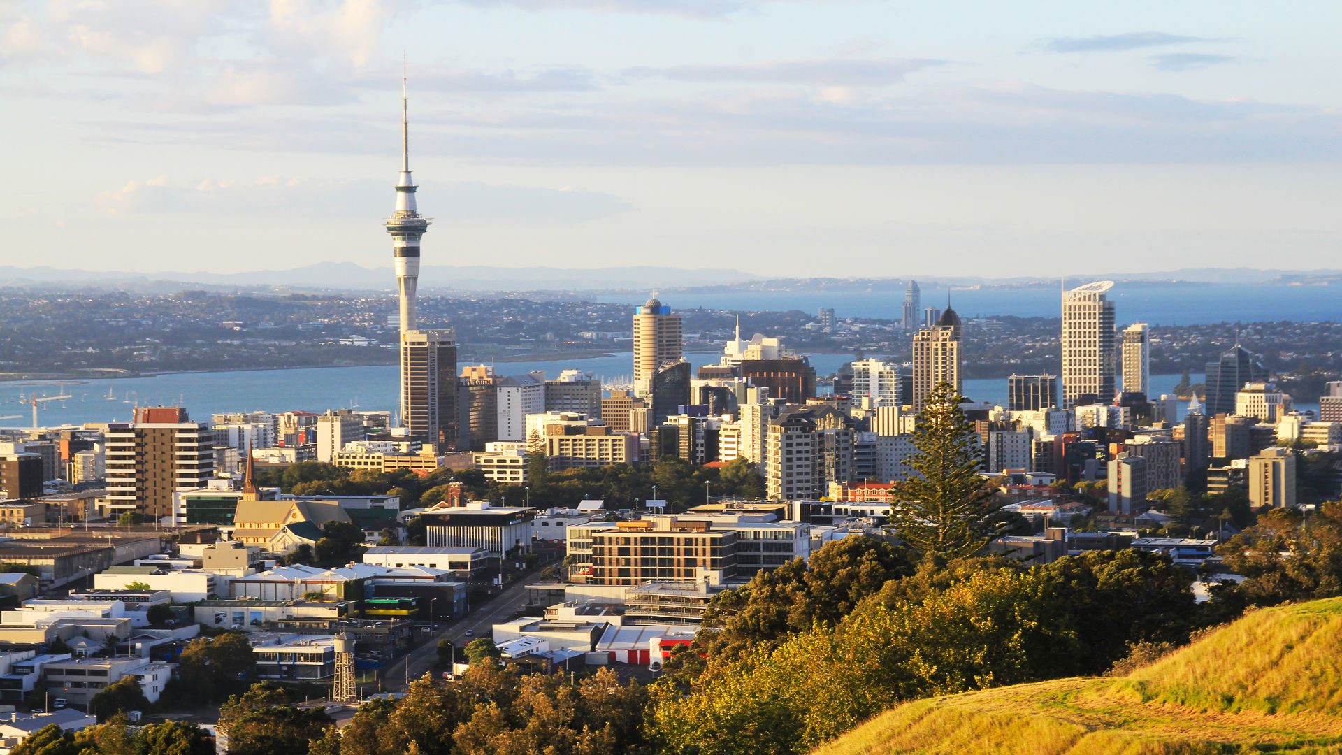 New Zealand to temporarily boost worker intake amid shortfall