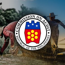 COA: Ex-Davao DA officials liable for illegal use of Malampaya Fund to pay for meals