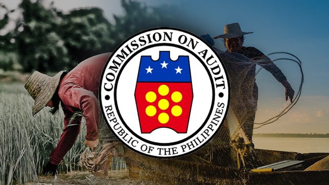 Maasin City’s disaster preparation ends in disaster, COA finds