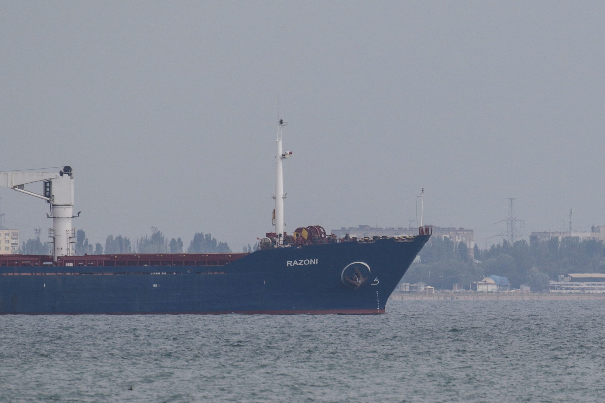 ‘Relief for the world’ as Ukraine grain ship leaves Odesa