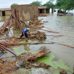Pakistan floods have affected over 30 million people – climate change minister