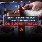 LIVESTREAM: Senate blue ribbon committee hearing on sugar fiasco