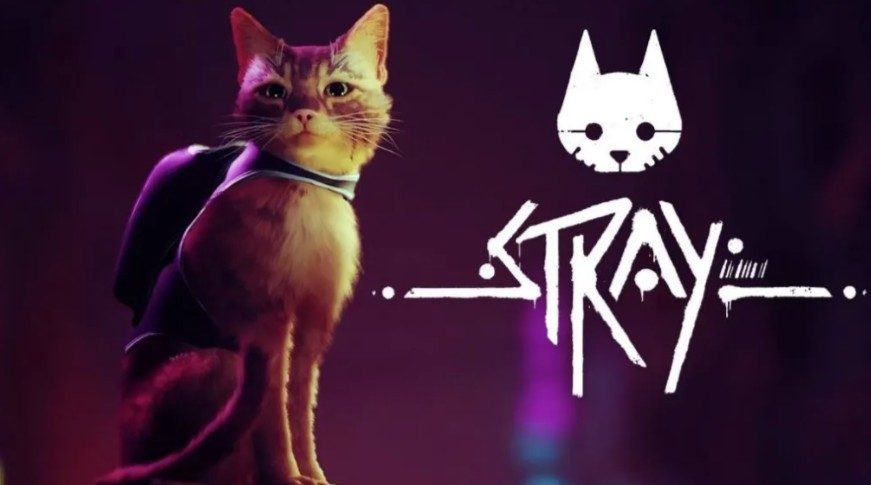 ‘Stray’ review: Cats, death, and robots