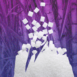 Malacañang probes ‘illegal’ sugar importation resolution