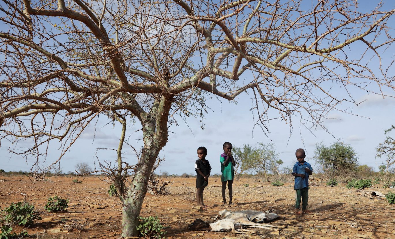 Horn of Africa on track for 5th failed rainy season – WMO