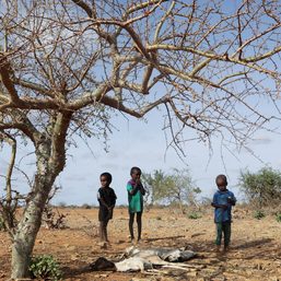 Horn of Africa on track for 5th failed rainy season – WMO