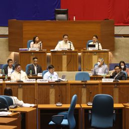 In House hearing, Marcoleta complains about ‘bashing’ for pushing P1,000 CHR budget