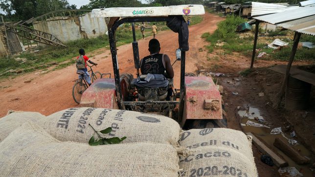 Ivory Coast expects all its cocoa will be traceable within a year