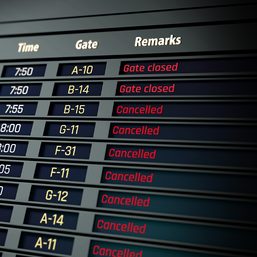 Canceled flights due to Super Typhoon Karding: September 25