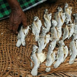 No kerosene, no food, Sri Lanka’s fishermen say
