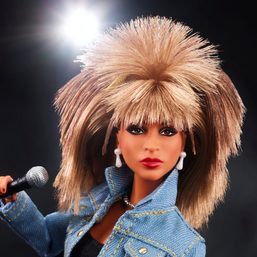 Mattel celebrates Tina Turner with Barbie creation