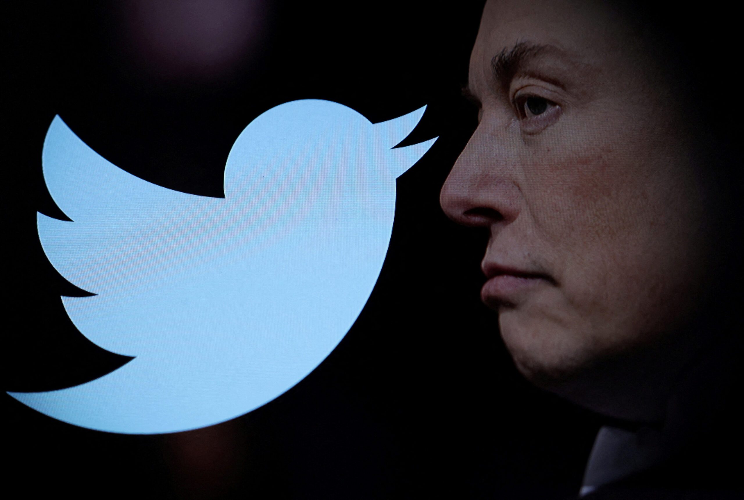 How Musk’s Twitter takeover could endanger vulnerable users