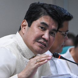 Petitioner seeks reversal of Comelec ruling on Erwin Tulfo DQ case