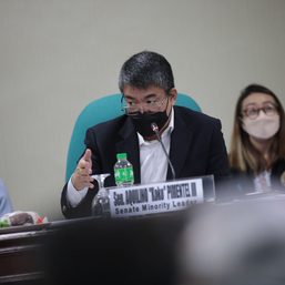 Pimentel attempts to strike out confidential funds of DepEd, OVP, OSG