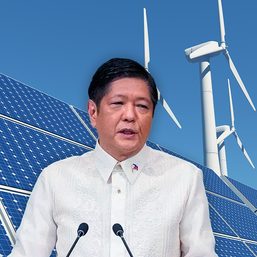 Marcos gets renewable energy push after DOJ opinion on foreign equity cap