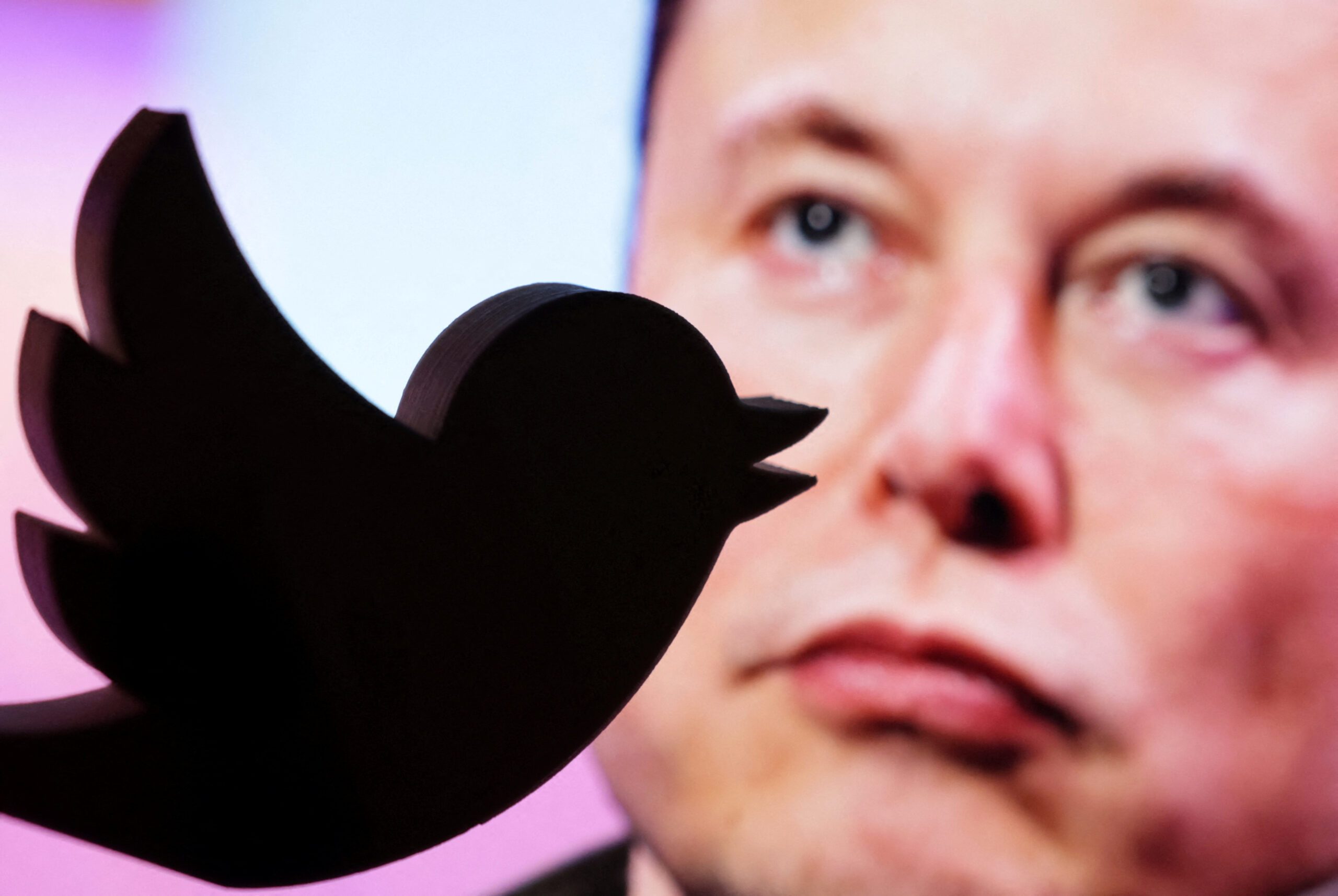 Elon Musk orders removal of Twitter suicide prevention feature, sources say thumbnail