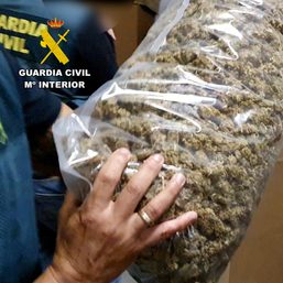 Spanish police seize ‘largest amount’ of marijuana worth $64 million