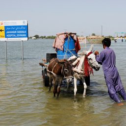 Pakistan at COP27 demands climate aid, says ‘dystopia’ already here
