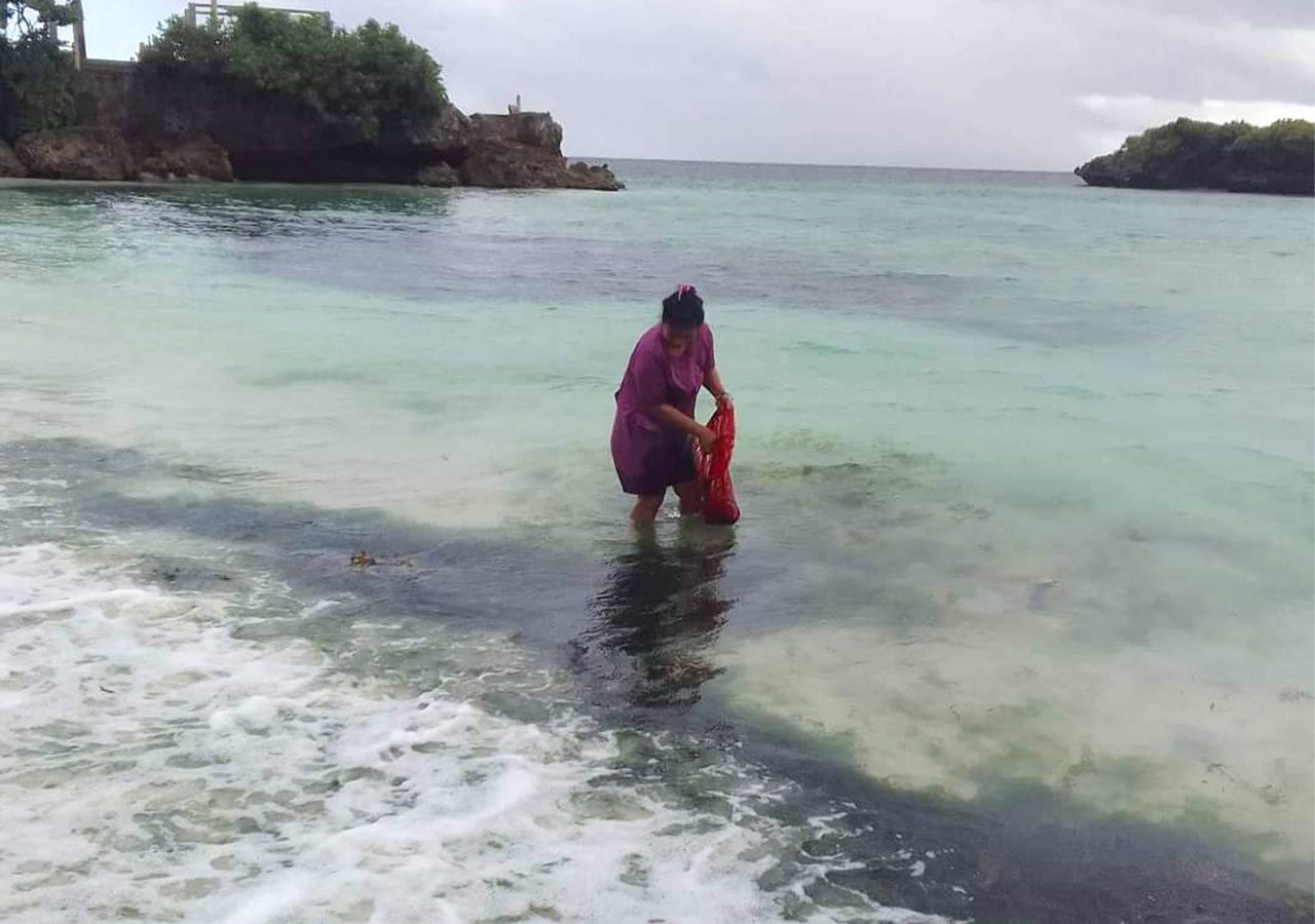 Boon or bane? Boracay’s algal bloom can provide income to poor local folk 