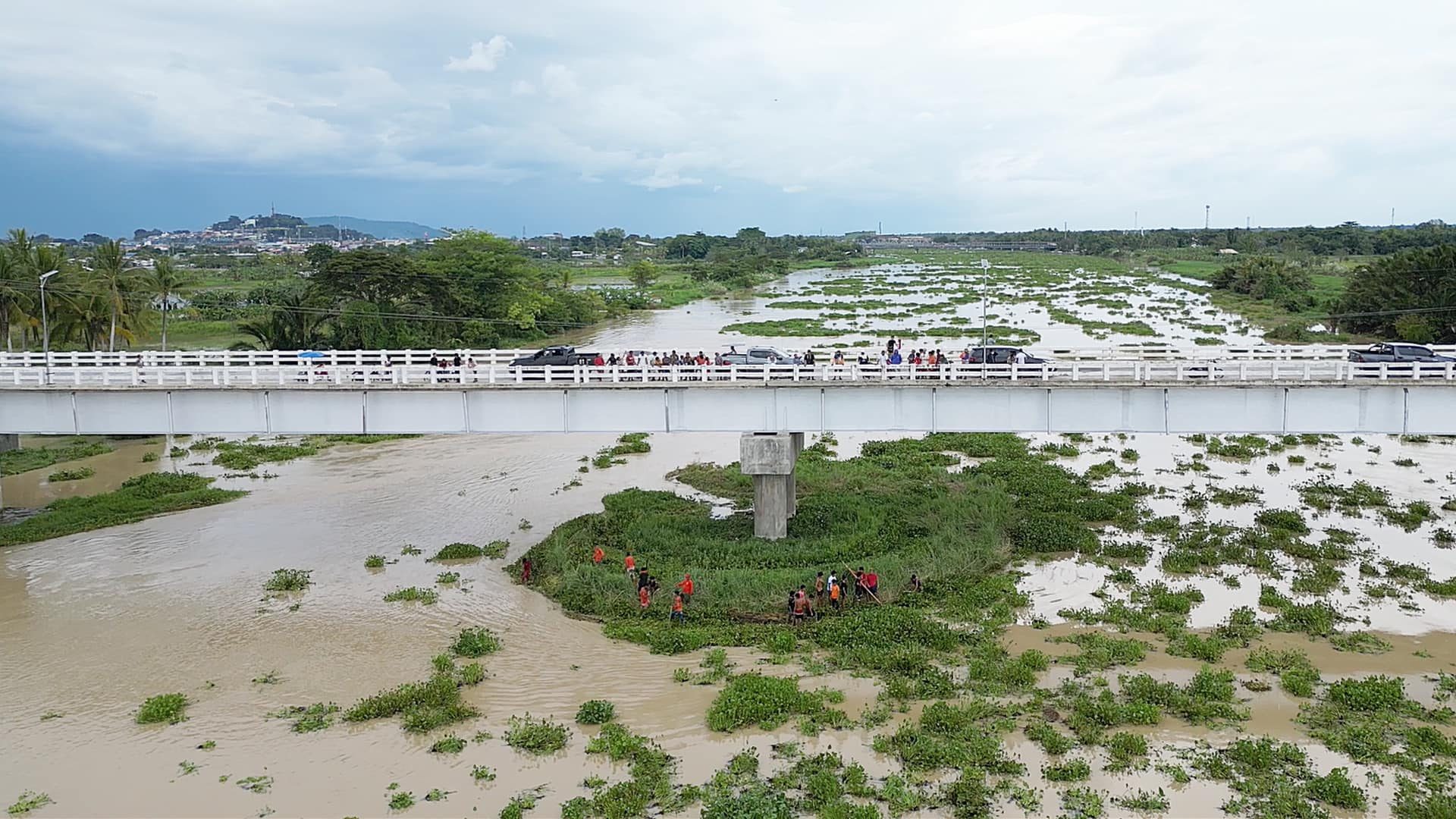 Cotabato flooding highlights city’s perennial water hyacinth problem