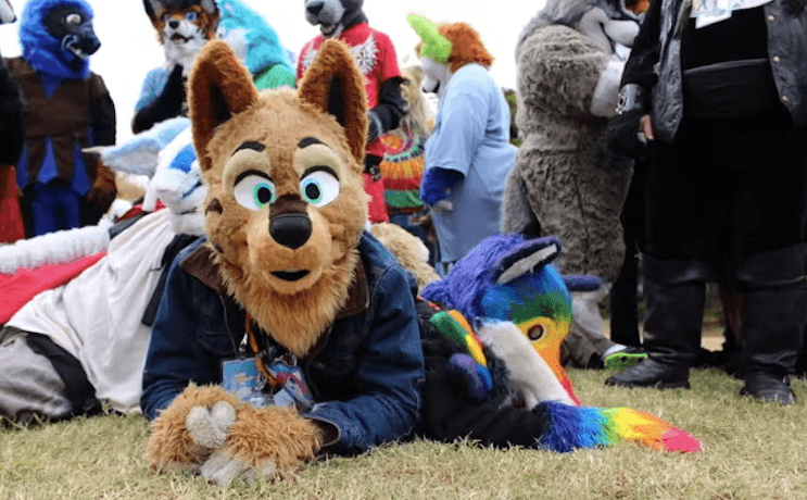 What are ‘furries?’ Debunking myths about kids identifying as animals, and litter boxes in schools