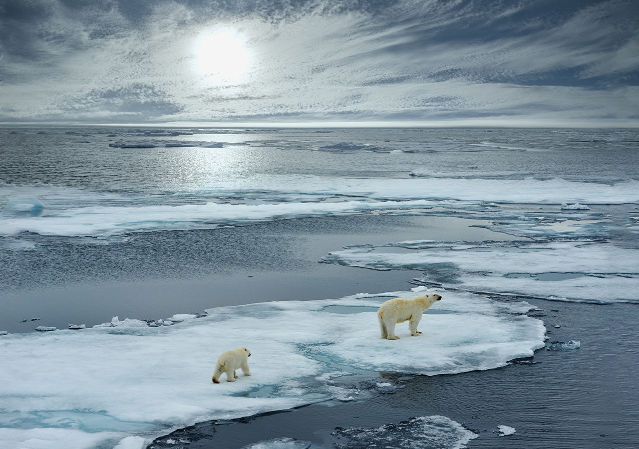 COP27: Loss of Arctic summer sea ice ‘inevitable’ within 30 years – report