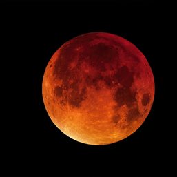 ‘Beaver blood moon’ offers world’s last total lunar eclipse until 2025