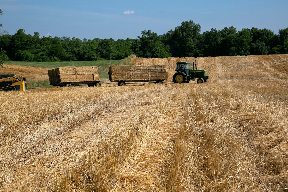 End of cheap money for US farmers plows trouble into food production