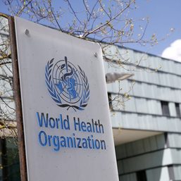 World Health Organization fires director in Asia over misconduct allegations