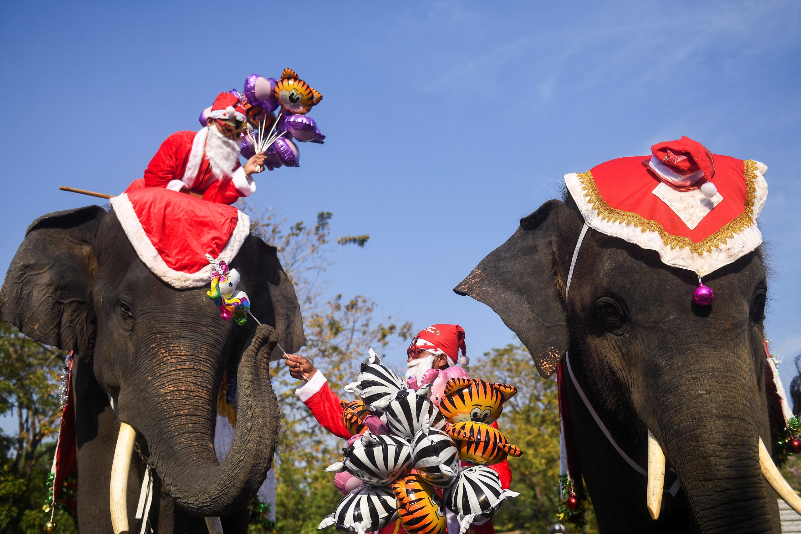 LOOK: In Thailand, Santa delivers presents on elephants
