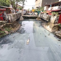 900 households violate river-easement zone in Lahug, Cebu City￼