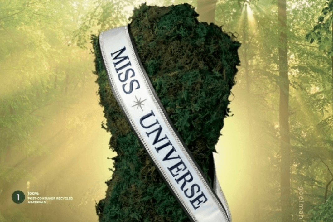 LOOK: Miss Universe introduces sustainable sash