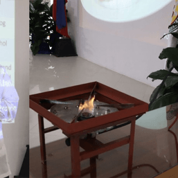 Filipino scientist develops nipa-based alternative fuel, stove prototype
